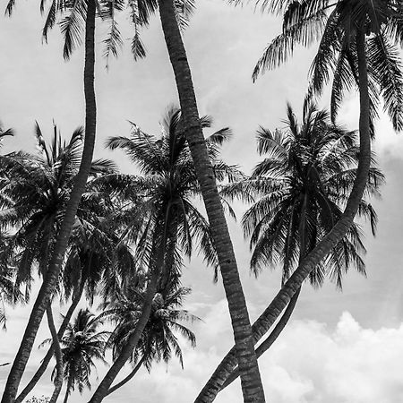Twin Palms Surfhouse Hotel Thulusdhoo Exterior photo