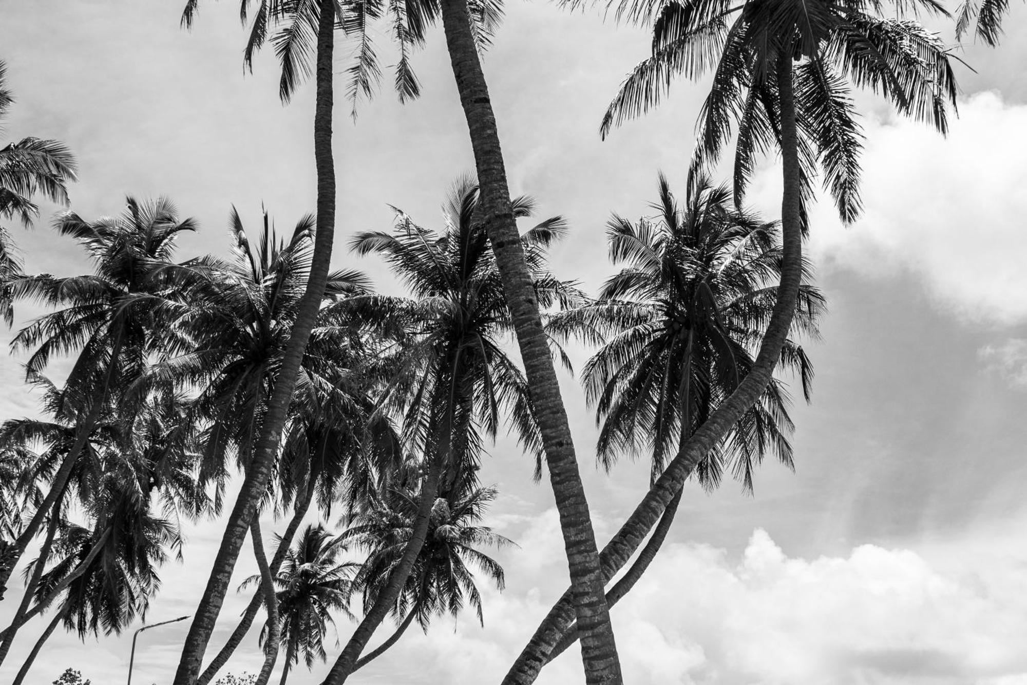 Twin Palms Surfhouse Hotel Thulusdhoo Exterior photo
